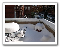 DSCN0459.JPG